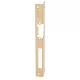 DORCAS F101-L-bn