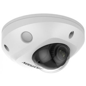 Hikvision DS-2CD2546G2-I (2.8mm)(C)